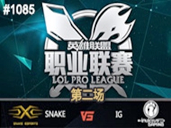 2015LPLļ11ܣSnake vs IG289