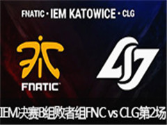 IEM10ܾB飺CLG vs FNC 236