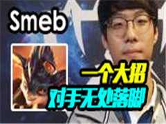 Smeb�����һ������һ�������ö����޴����