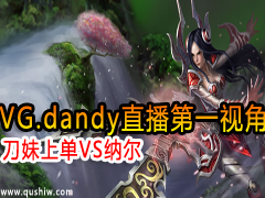 VG.dandyֱһӽ ϵVSɶ