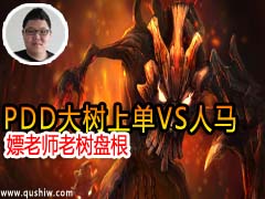 PDDֱ����һ�ӽ� ������������������